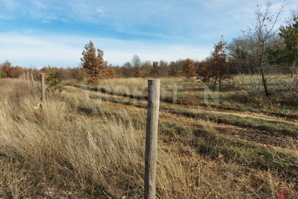 Urbanized land in Čabrunići