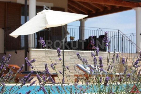 Villa s bazenom u okolici Vodnjana