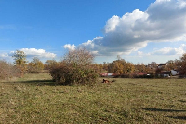 Građevinsko zemljište u blizini grada Žminja